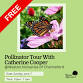 Seasonal Pollinator Tour With Catherine Cooper At Weston Nurseries