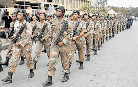 Looking for online definition of sandf or what sandf stands for? Sandf Making Slow Progress On Transformation