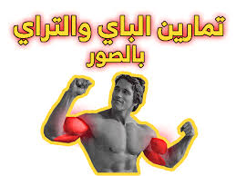 تمارين الباي والتراي بالصور Arm Workout Super Sets Workout