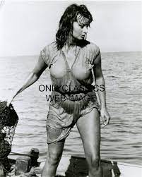 SEXY SOPHIA LOREN ALL WET BOAT REVEALING 8X10 PHOTO PINUP CHEESECAKE  VOLUPTUOUS | eBay