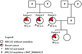 Image result for BRCA2