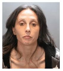 Woman sought in fatal stabbing