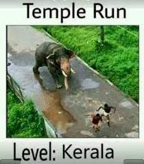 Hope you like these cool, funny and cute captions for facebook and enjoy it to the fullest. Funny Dp For Whatsapp Whatsapp Images