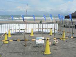 五輪サーフィン会場でウミガメ産卵 一宮 釣ケ崎海岸 千葉日報オンライン