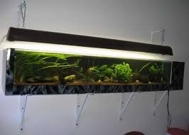 Aquarien als designelement tetra aquaristik blog. Kleines Aquarium An Die Wand Aber Wie Meerwasser Allgemein Www Meerwasserforum Info