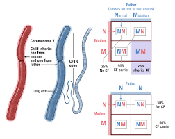 Diagnostic Testing Johns Hopkins Cystic Fibrosis Center