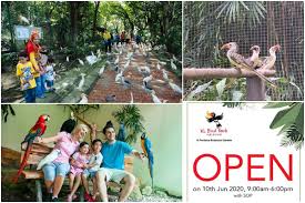 One of says' former interns got to explore it earlier in june and wrote about her experience here. Menarik Kl Bird Park Tawar Promosi Tiket Masuk Serendah Rm6 Seorang Sehingga 31 Julai Libur