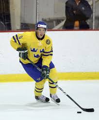 Most recently in the hockeyallsvenskan with tingsryds aif. Rasmus Bengtsson Ice Hockey Alchetron The Free Social Encyclopedia