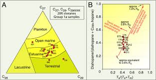Check spelling or type a new query. Source Rock Characteristics Of Group 1a Organic Material In Piston Core Download Scientific Diagram