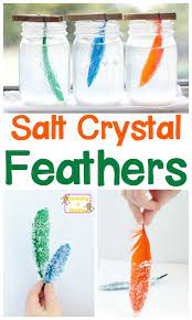 Simple Science Projects How To Make Salt Crystal Feathers Easy Science Projects Science Art Projects Science Crafts