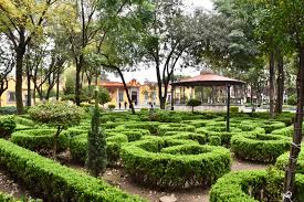 Fountain depicting the drinking coyotes that gave the town its name at the jardín centenario. Coyoacan Mexico City Its Oldest Neighbourhood Travel Blog