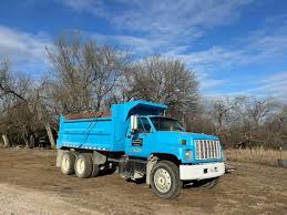 Image result for Bright Blue 2003 Topkick