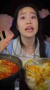 What Happened in the Fukushima Toilet Mystery?