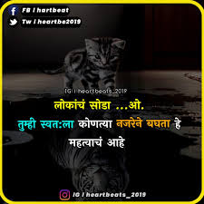 Pin By Sweet Heart Marathi On Sweet Heart Marathi In 2020 Cat Quotes Funny Cat Quotes Cute Quotes
