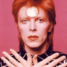 Hi we are looking to purchase a lazy spa but we have a little dog that I'm  worried will pierce the side of the hot tub with its nails as our paddling