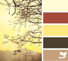 Home Page Design Seeds Color Color Schemes