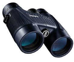 Best binoculars for the money hunting. 7 Best Hunting Binoculars 2021 Budget Binoculars For Hunting