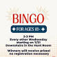 Bingo for Ages 18+ event image