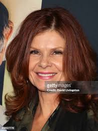 221 photos et images haute résolution de David Davidovich