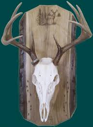 We can also repair tines, add oak or walnut plaques or even make the antlers detachable for easier shipping and hanging. Springbrook Laser Engraving Hunting Deer Elk Mule Deer