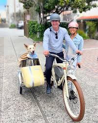 Image result for bicycle sidecar