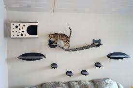 Catwalk Wandmobel Fur Katzen Von Vimbesk Katzenblog De Interessantes Fur Katzenfreunde Catwalk Katzen Katzen Kletterwand Katzenhaltung
