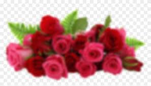 We did not find results for: Rose Png 2 Download Hair Png Download Happy Birthday Image Marathi Download Clipart 1011426 Pikpng