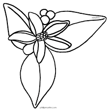 Black And White Orange Blossom Clip Art Page Of Florida Clip Art Clipart Panda Free Clipart Images Flower Drawing Images Flower Drawing Flower Clipart