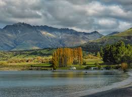 Info loker new zealand yang selalu update. Mengintip Kehidupan Peternakan Di New Zealand Halaman All Kompasiana Com