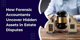 How Forensic Accountants Uncover Hidden Assets in Estate Disputes | NSKT  Global