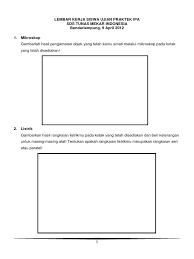 Lembar kerja ujian praktek ipa kelas 9. Lembar Kerja Siswa Ujian Praktek Ipa