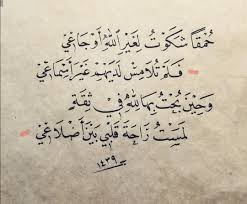 حمقآ شكوت لغير الله اوجاعي فلم تلامس لديهم غير اسماعي وحين بحت بها لله في ثقة لمست راحة قلبي بين اضلاع Wisdom Quotes Words Quotes Islamic Inspirational Quotes