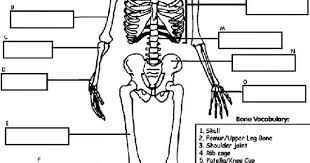 Info@coloringnature.org coloring and activity books for all ages: Human Skeleton Coloring Page
