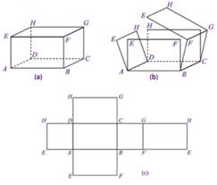 Wählen sie aus über 2.000 ausführungen den passenden karton. Pengertian Beserta Cara Membuat Jaring Jaring Balok Dan Contoh Gambar