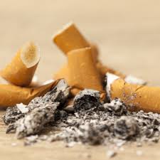 Camel is a brand of cigarettes that was introduced by american company r.j. Why Are Cigarettes More Addictive Nowadays Davidson Institute Of Science Education