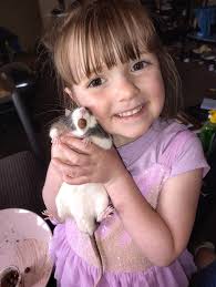 Free baby rats for adoption in Elizabethtown, KY