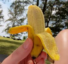 Lady finger bananas information, recipes and … World S Most Common And Unusual Varieties Of Bananas