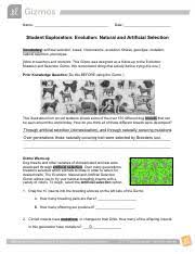If possible, discuss your answer with your classmates and teacher. Evolutionnaturalartificialse Pdf Name Date Student Exploration Evolution Natural And Artificial Selection Vocabulary Artificial Selection Breed Course Hero