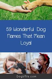 Dog names that mean loyal. Female Dog Names With Meaning Loyal