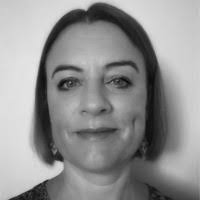 400+ "Plaud" profiles