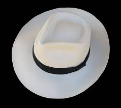 Pin On Panama Hat