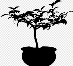 Take a look at these images that we recommend you to see and these may help you to decide about bonsai tree silhouette. Tree Silhouette Leaf Woody Plant Bonsai Branch Plant Stem Twig Png Pngwing