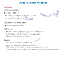 Image result for Candidiasis