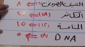 رابط نتيجة الثانوية العامة 2021 بالمجموع الكلي ودرجات المواد. ØªÙˆØ²ÙŠØ¹ Ø¯Ø±Ø¬Ø§Øª Ø§Ù…ØªØ­Ø§Ù† Ø§Ù„Ø£Ø­ÙŠØ§Ø¡ ÙˆØ§Ù„Ø¬ÙŠÙˆ Ø¨Ø¹Ø¯ Ø§Ù„Ø­Ø°Ù Ø«Ø§Ù†ÙˆÙŠØ© 2020 Youtube