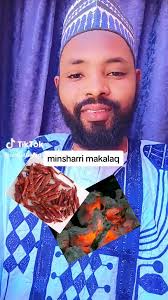 Sheikh Ibrahim Mansur Imam Kaduna （R,T,A）