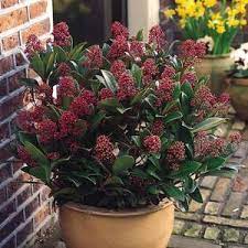 We have 16+ j.parkers discount codes & vouchers for april 2021. J Parker Bulbs Discount Code Get 50 Off May 2021 60 Deals Hotukdeals