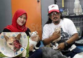 Maybe you would like to learn more about one of these? Penderitaan Masai Sentuh Hati Pengusaha Pusat Perlindungan Cekal Pertahan Syurga Si Bulus I Suke Mstar
