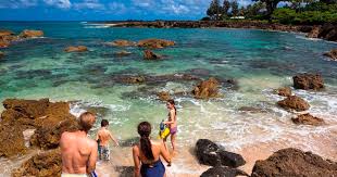 Maybe you would like to learn more about one of these? Hanauma Bay Snorkeling With Transfers To From Waikiki