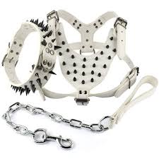 white spiked studded leather pet dog collar harness leash set strong for pitbull mastiff wish dog harness white dog collar dog collars leashes