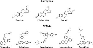 Image result for Selective Estrogen Receptor Modulator